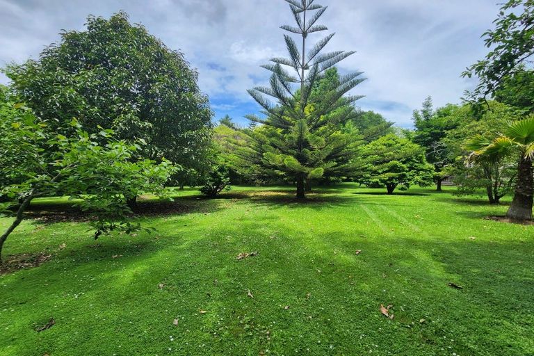 Photo of property in 314 Busby Road, Tahawai, Katikati, 3170