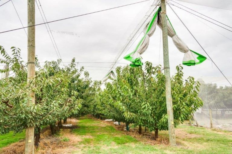 Photo of property in 200 Longlands Road, Longlands, Hastings, 4172