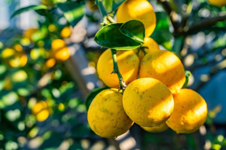 Photo of property in 56 Moir Point Road, Mangawhai Heads, Mangawhai, 0505