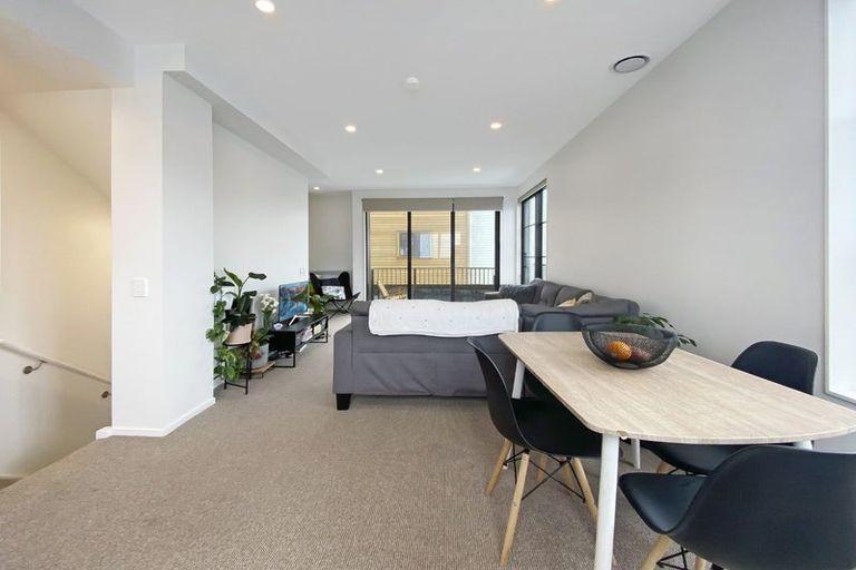 Photo of property in Aniva Terrace, 17 Arney Street, Newtown, Wellington, 6021