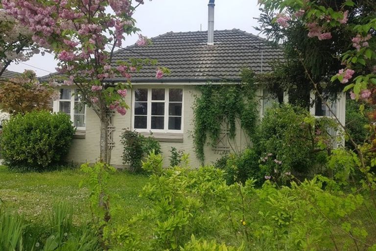 Photo of property in 43 Joy Street, Shirley, Christchurch, 8061