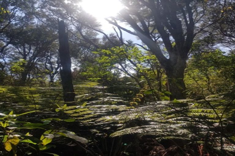 Photo of property in 306 Maunu Road, Horahora, Whangarei, 0110