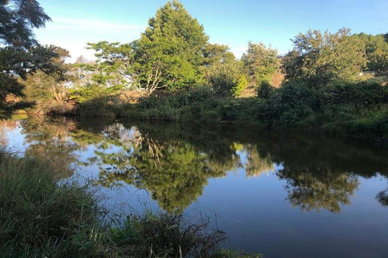 Photo of property in 54 Fagan Lane, Kaimarama, Whitianga, 3591