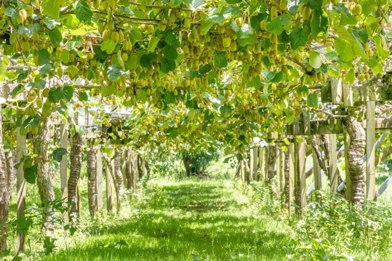 Photo of property in 56 Kauri Point Road, Laingholm, Auckland, 0604