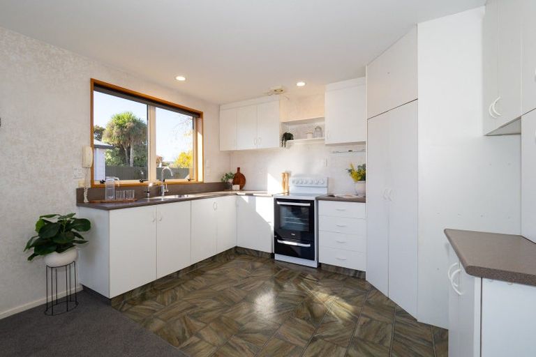 Photo of property in 49b Eton Street, Hampstead, Ashburton, 7700