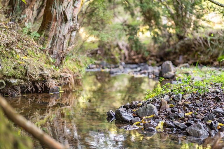 Photo of property in 105b Bradey Road, Pauatahanui, Porirua, 5381