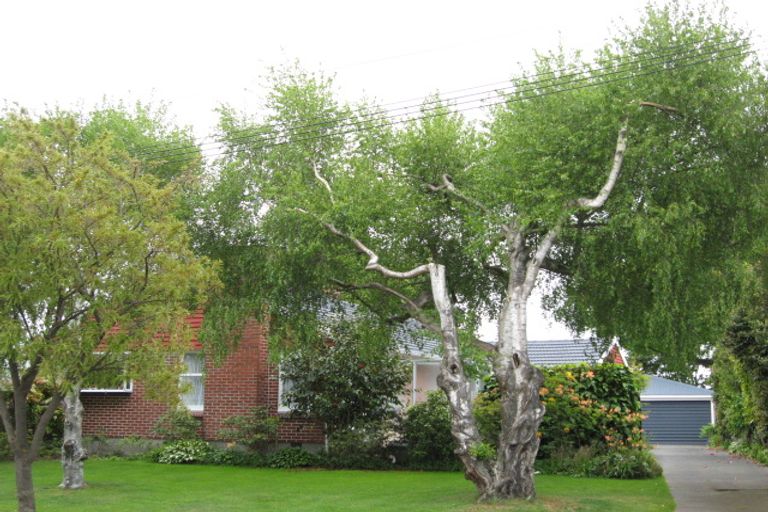 Photo of property in 55 Sevenoaks Drive, Bryndwr, Christchurch, 8053