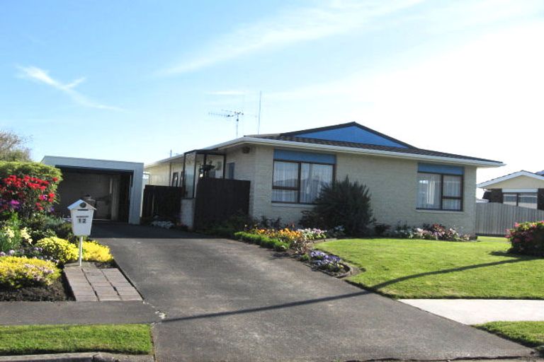 Photo of property in 12 Antrim Place, Springvale, Whanganui, 4501