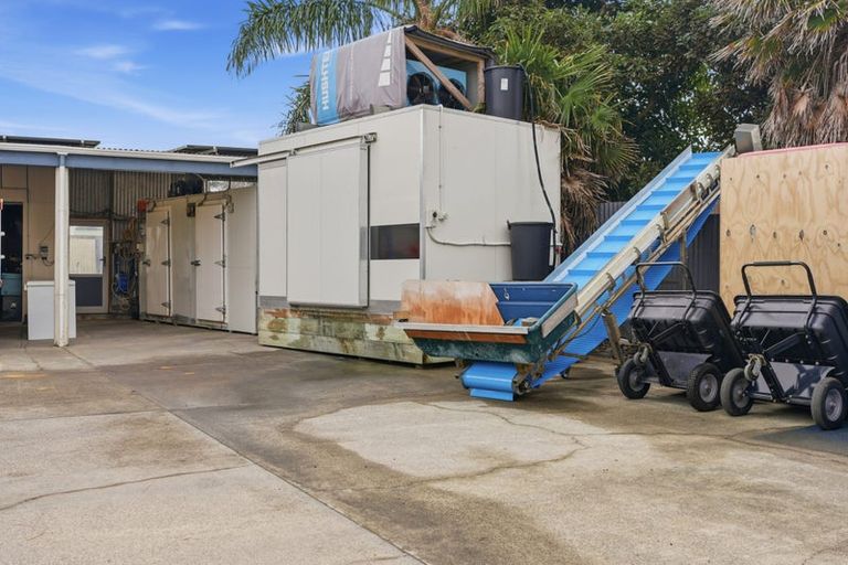 Photo of property in 4b Lamb Road, Pukenui, 0484