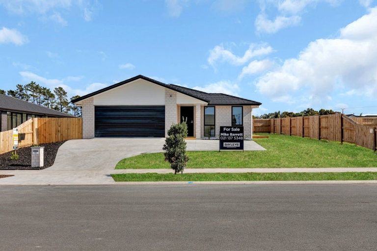 Photo of property in 55 Te Taniwha Road, One Tree Point, 0118