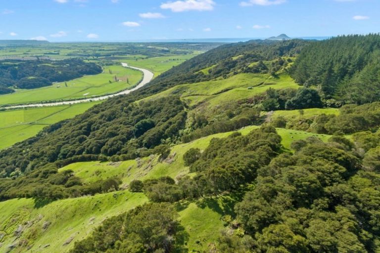 Photo of property in 327 Taneatua Road, Taneatua, Whakatane, 3191