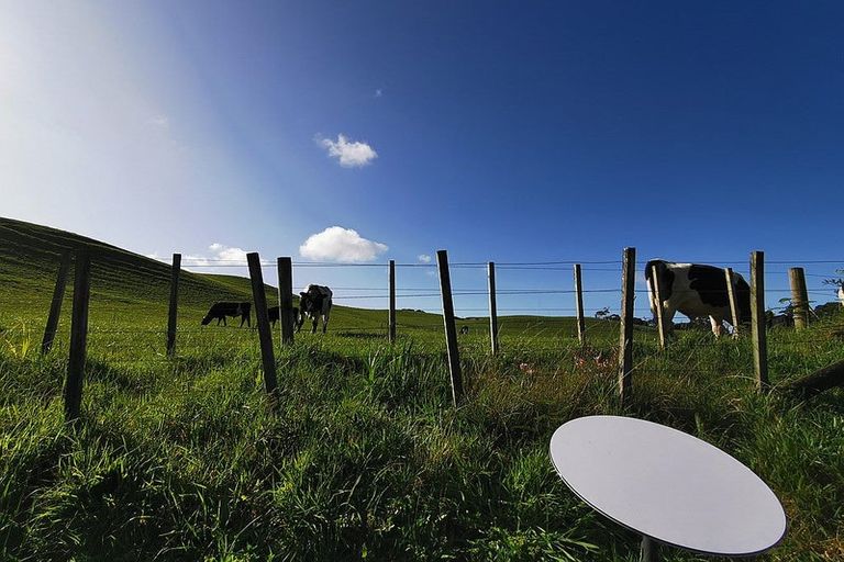 Photo of property in 16 Shelly Beach Road, Shelly Beach, Helensville, 0874