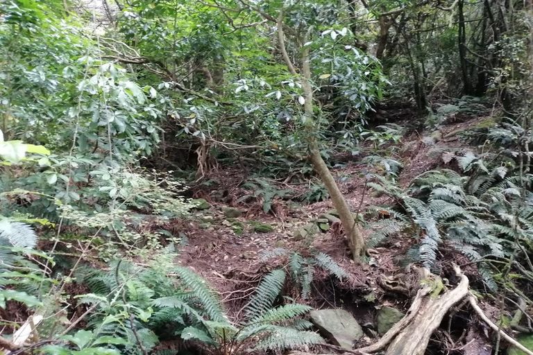 Photo of property in 11 Le Bons Bay Road, Le Bons Bay, 7583