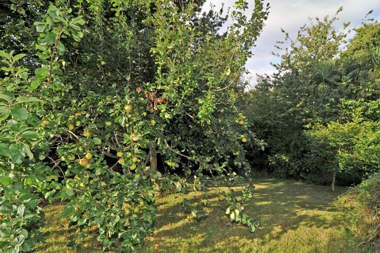 Photo of property in 6 Blackwell Street, Portobello, Dunedin, 9014