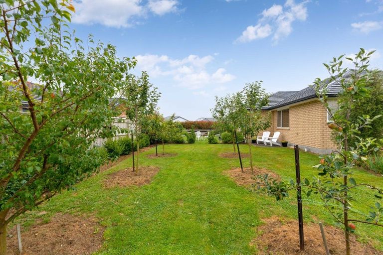 Photo of property in 1 Fantail Avenue, Carterton, 5713