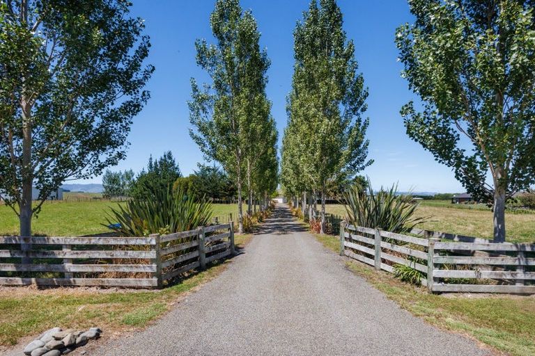 Photo of property in 572 Taonui Road, Colyton, Feilding, 4775