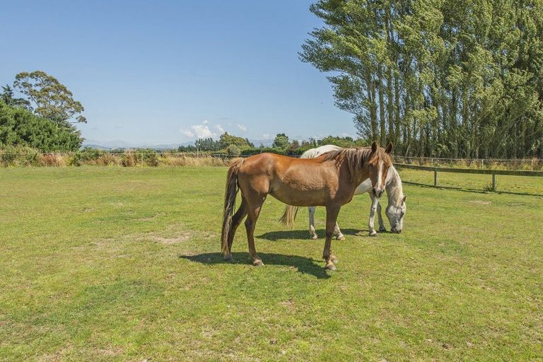 Photo of property in 543 Bangor Road, Darfield, 7571