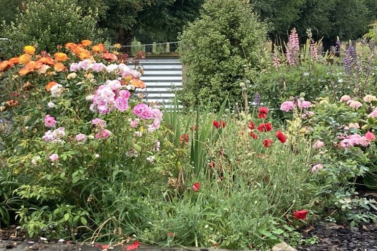 Photo of property in 85 Willowbridge Settlement Road, Waimate, 7980