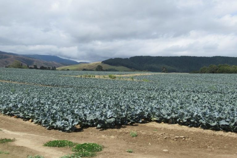 Photo of property in 1272 State Highway 1, Manakau, Otaki, 5583