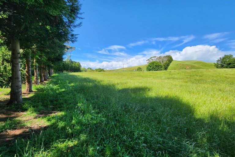 Photo of property in 118 Wrights Road, Raglan, 3295