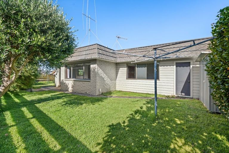 Photo of property in 115b Chapel Street, Otumoetai, Tauranga, 3110