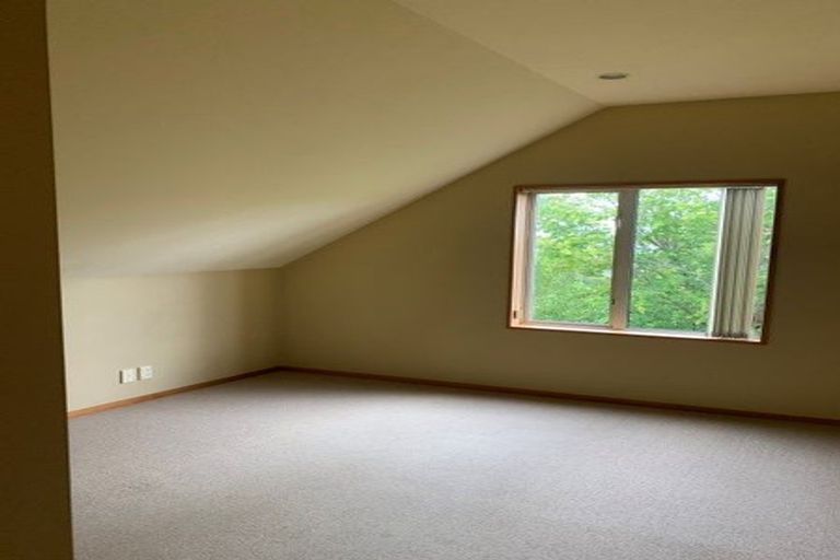 Photo of property in 41 Matai Street, Riccarton, Christchurch, 8011