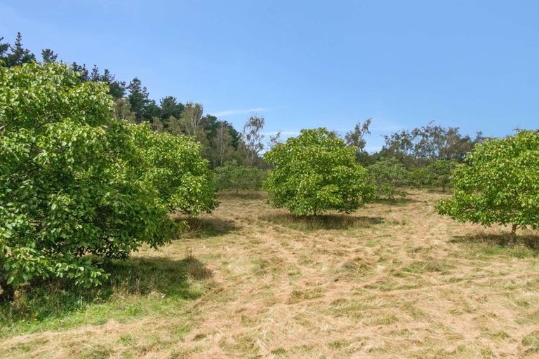 Photo of property in 180 Paierau Road, Opaki, Masterton, 5881