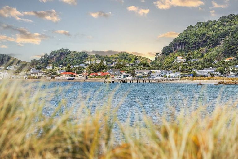Photo of property in 217 Marine Parade, Seatoun, Wellington, 6022