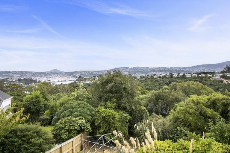 Photo of property in 33 Elliffe Place, Shiel Hill, Dunedin, 9013