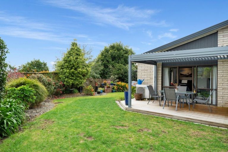 Photo of property in 55 Dunlop Road, Te Puke, 3119