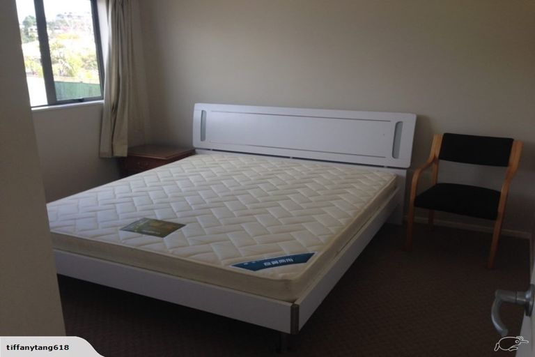 Photo of property in 68 Clover Drive, Henderson, Auckland, 0610