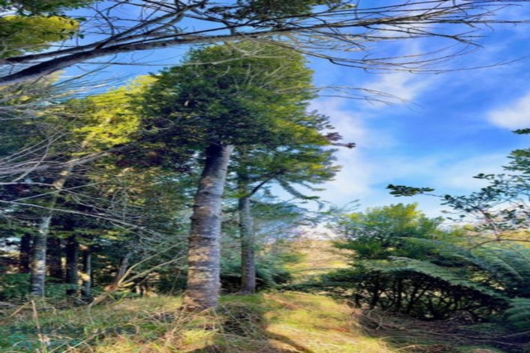 Photo of property in 33 Hiwarau Road, Kutarere, Opotiki, 3198