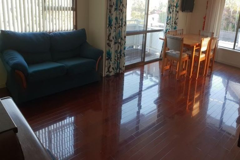 Photo of property in 59 Kennedy Avenue, Forrest Hill, Auckland, 0620