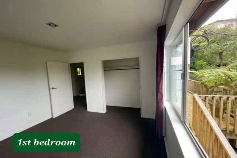 Photo of property in 164b Raroa Road, Aro Valley, Wellington, 6012