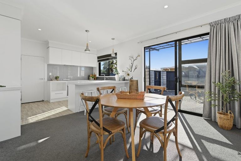 Photo of property in 14a Vine Avenue, Maungatapu, Tauranga, 3112