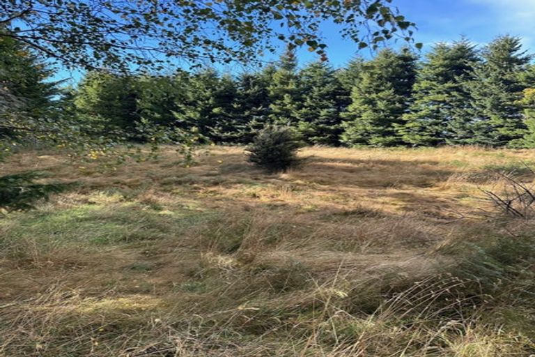 Photo of property in 1 Mount Lyford Avenue, Lyford, Waiau, 7395