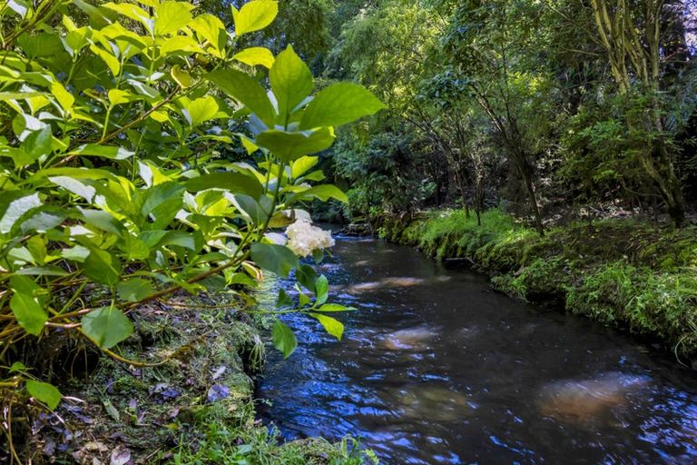 Photo of property in 46 Stanners Street, Eltham, 4322