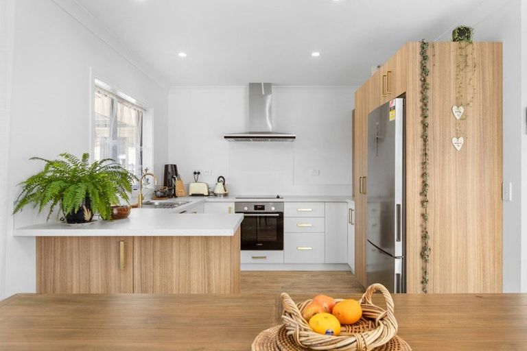 Photo of property in 17 Andrew Hilton Close, Morrinsville, 3300