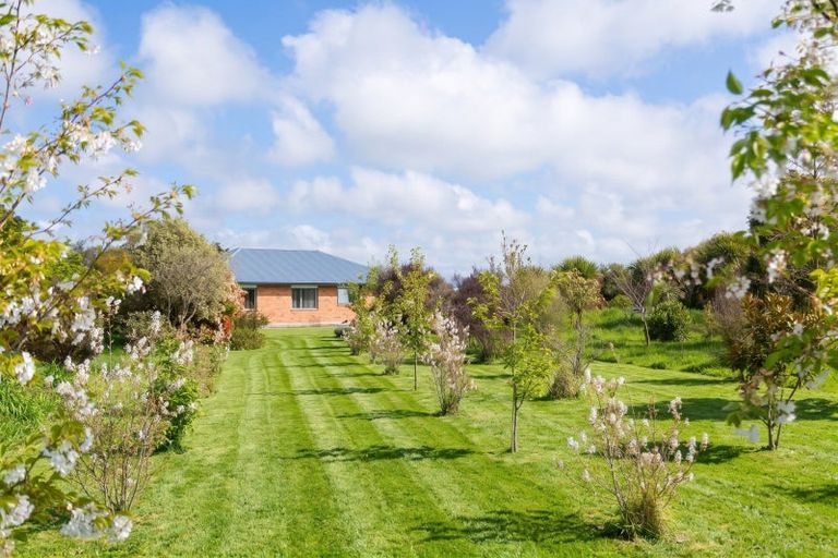 Photo of property in 38b Taranaki Street, Kuripuni, Masterton, 5810