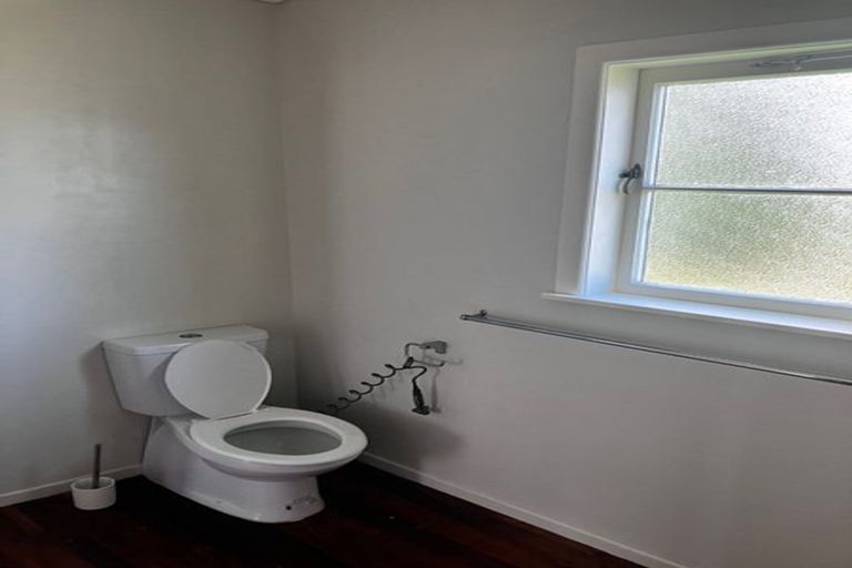 Photo of property in 59 Hutchinson Avenue, New Lynn, Auckland, 0600