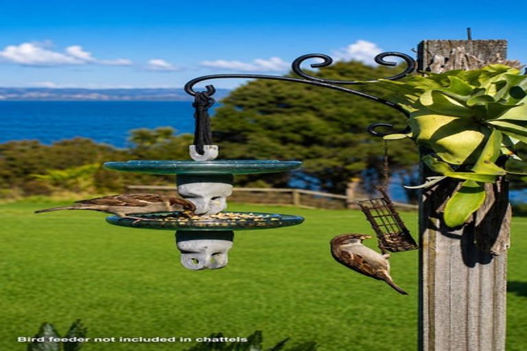 Photo of property in 96 Omana Avenue, Shelly Beach, South Head, 0874