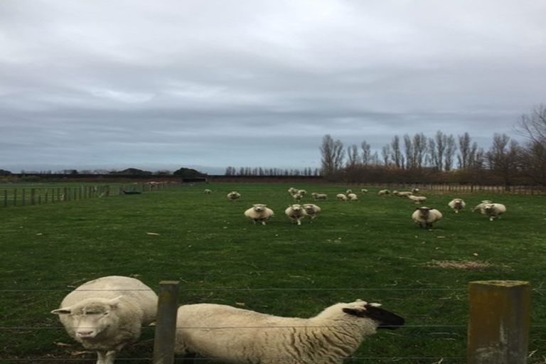 Photo of property in 1810 Pakowhai Road, Pakowhai, Napier, 4183