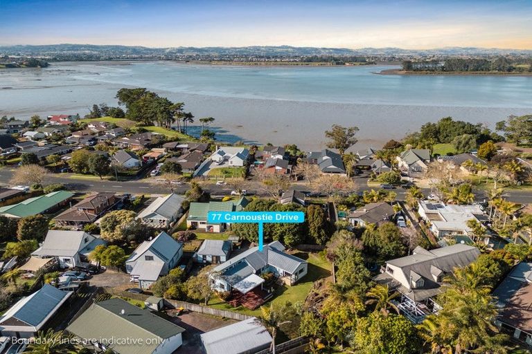 Photo of property in 77 Carnoustie Drive, Wattle Downs, Auckland, 2103