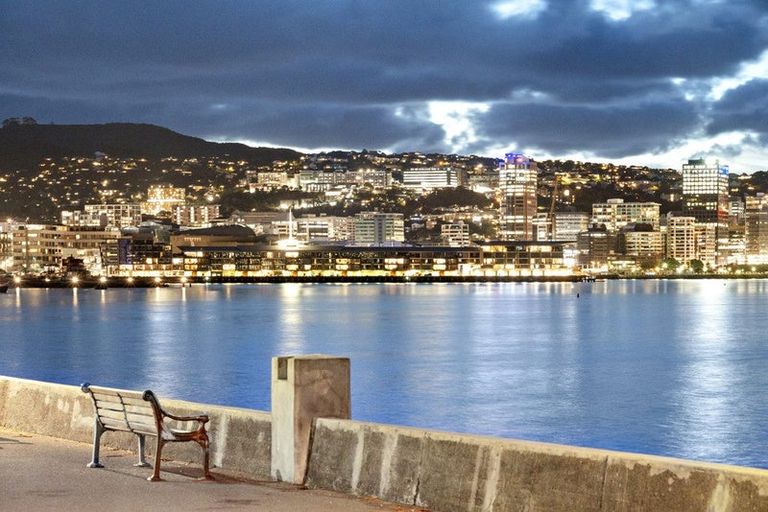 Photo of property in Waterline Apartments, 1a/342 Oriental Parade, Oriental Bay, Wellington, 6011