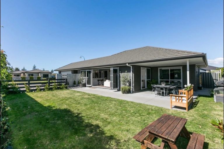 Photo of property in 117 Squire Drive, Awatoto, Napier, 4110