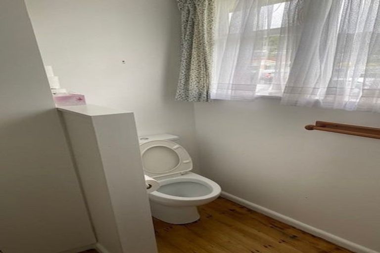 Photo of property in 45a Oxford Street, Tawa, Wellington, 5028