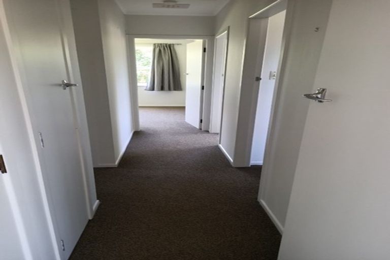 Photo of property in 9 Casper Street, Fairfield, Hamilton, 3214