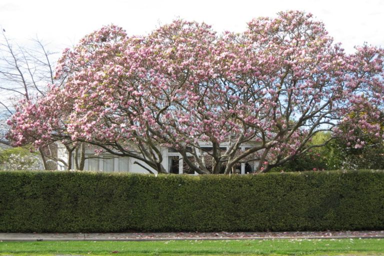 Photo of property in 105 Main Rd Clive, Clive, 4102