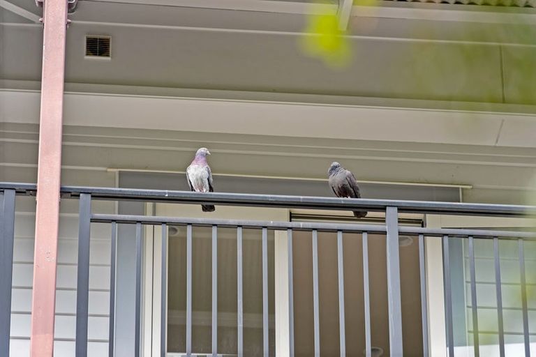 Photo of property in The Grand Apartments, 2d/4 Kell Drive, Albany, Auckland, 0632