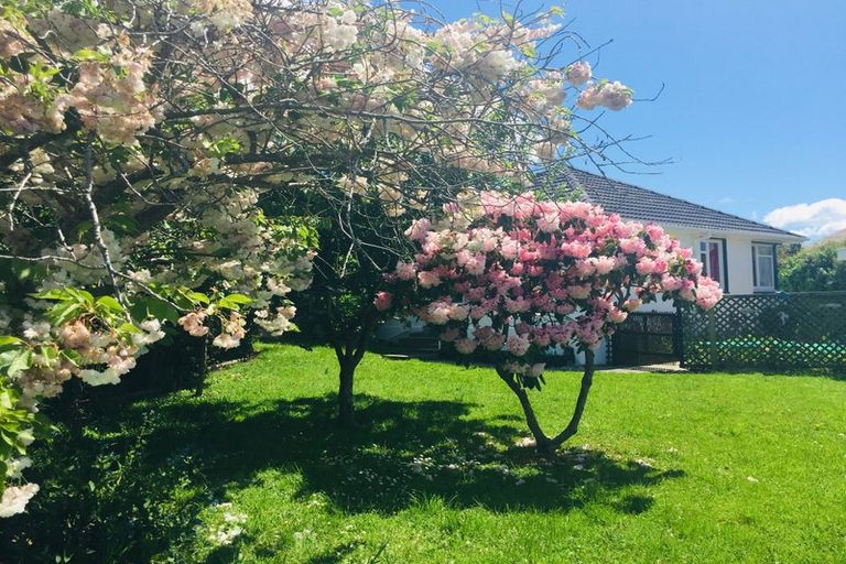 Photo of property in 61 Rhodes Street, Waimate, 7924